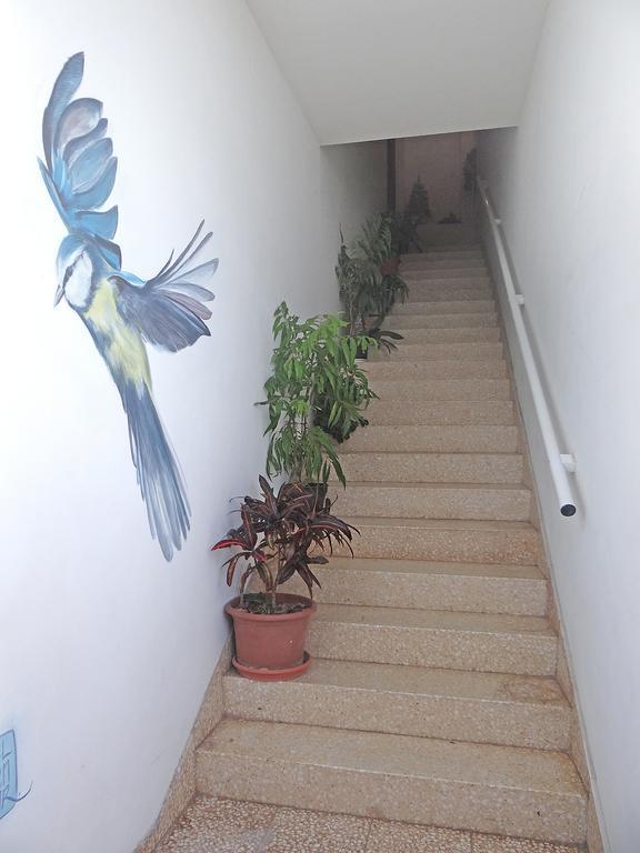 Apartamentos Dominguez Calera Εξωτερικό φωτογραφία